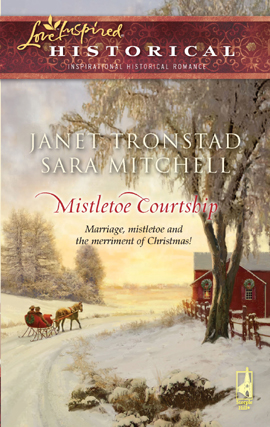 Title details for Mistletoe Courtship by Janet Tronstad - Wait list